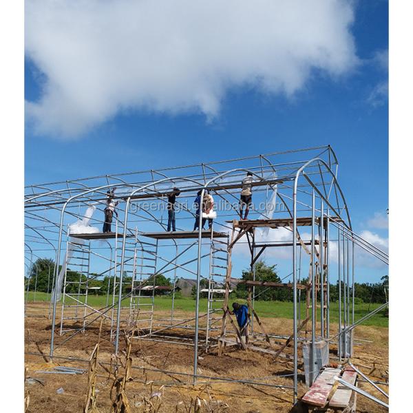 Single Layer Wind Resistant Greenhouse Rain Shelter For Maximum Protection