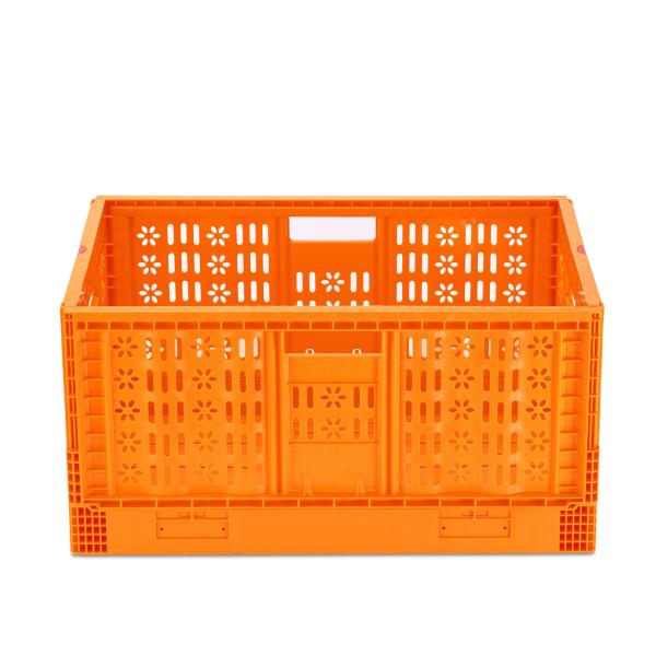 PP Transfer Vented Mesh Collapsible Plastic Vegetable Box for Easy Logistic Handling