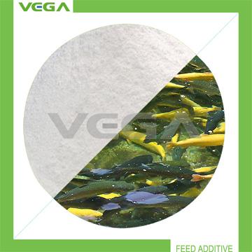 20% Florfenicol Health and Medical /20% Florfenicol Veterinary Medicine