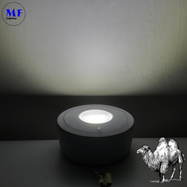 Résistance au feu à libération de chaleur 2 heures 8W Résistance à la surface montée en retrait Downlight LED Emergency Down Light pour les bureaux Shopping Mall Market Hotel