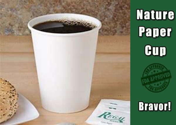 Single Wall Hot Drink Cups PE Coating Paper Custom Made With Matt Finish