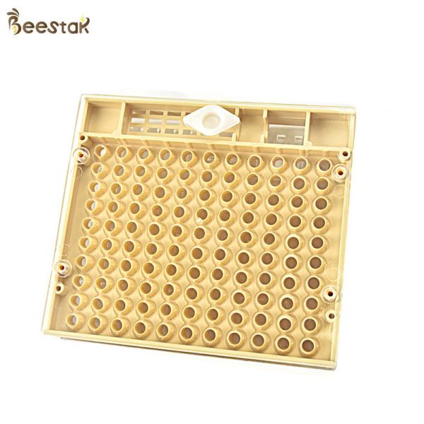 Yellow Queen Rearing Cupkit System For Agricultural Beequeen Tools Cupkit System