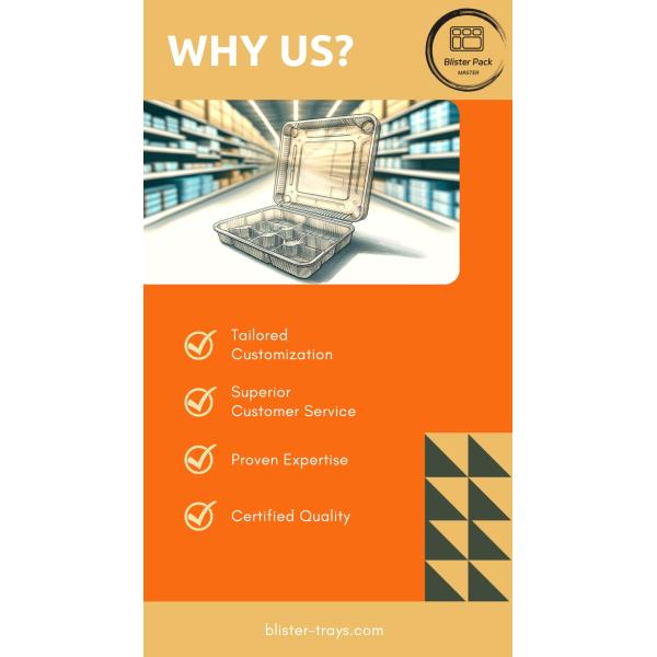 Square Eco Friendly Biodegradable Sugarcane Pulp Lunch Box 100% Compostable