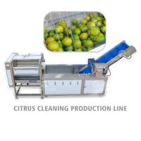 Linha de processamento de limpeza do citrino da escova de ar, anti linha de processamento da batata da remoção de Sullage da abrasão