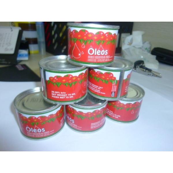canned tomato paste
