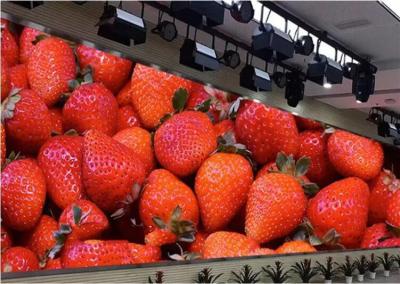 256mmx128mm Fine Pixel Pitch LED Display , P2 LED Wall Display Board