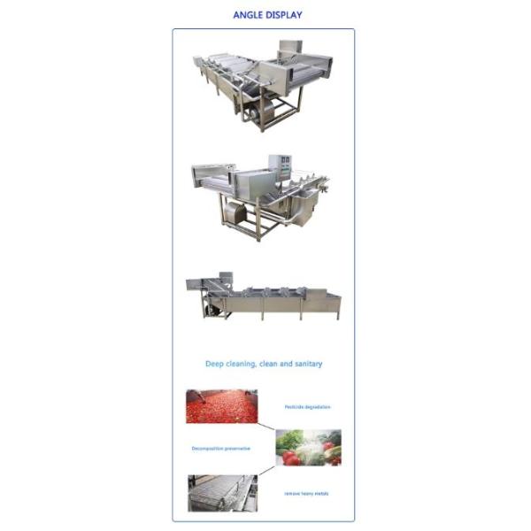 Industrial Fresh Dry Dates Vegetable And Fruit Washing Machine