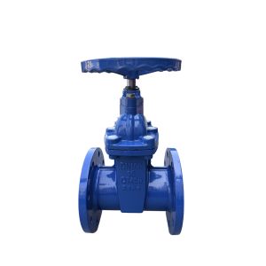 Cast Iron Nrs Resilient Seat Wedge Gate Valve