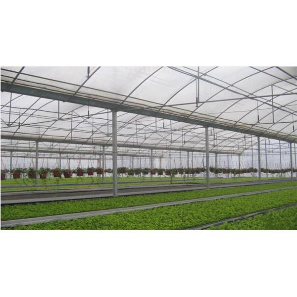 Парник пяди отрицательного тоннеля контроля климата 60m системы вентиляторной системы охлаждения Multi