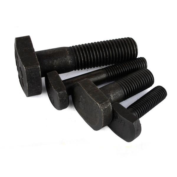 Stainless Steel T Slot Bolt M6 Hammer Bolt with Passivated Finish T-Bolt Galvanized T Head Bolt