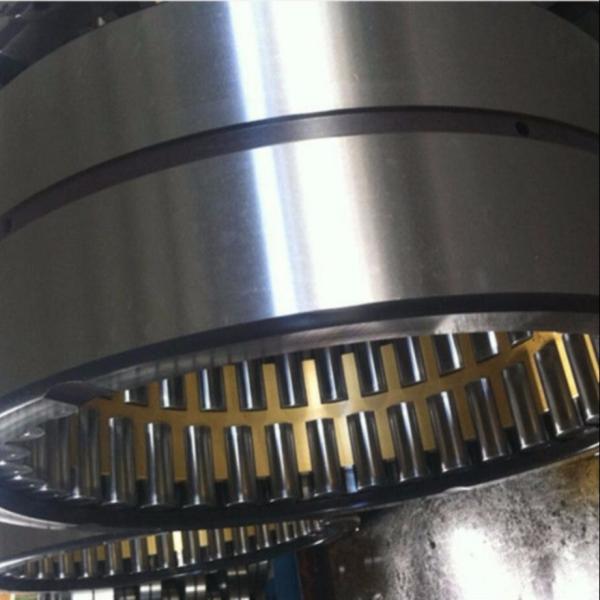 NUP311ECM C3 Single Row  Cage Cylindrical Roller Thrust Bearing