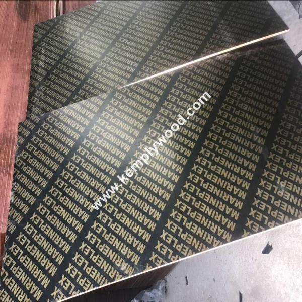 Black film faced plywood with logo, black faced shuttering plywood, black film faced marine plywood