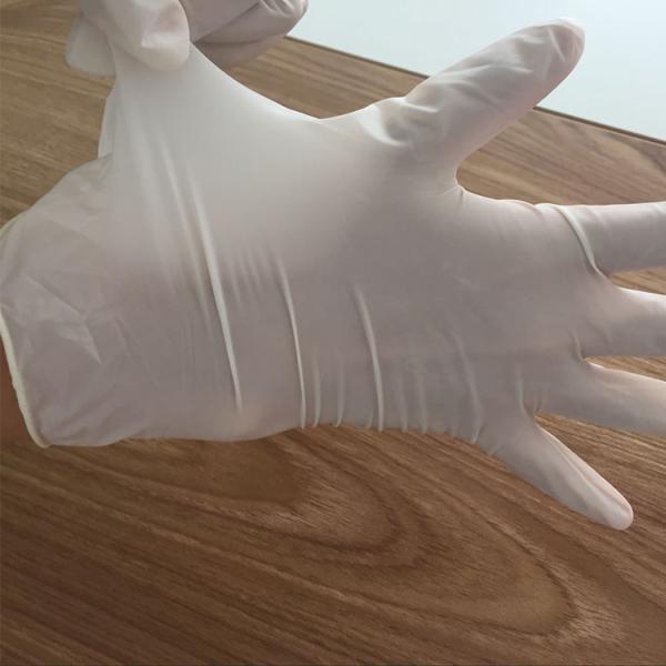 Free Samples Medical Gloves Surgical Latex Examination Gloves Prices
