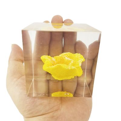 peso de papel feito sob encomenda da resina do tijolo do cubo com embeddings da inclusão