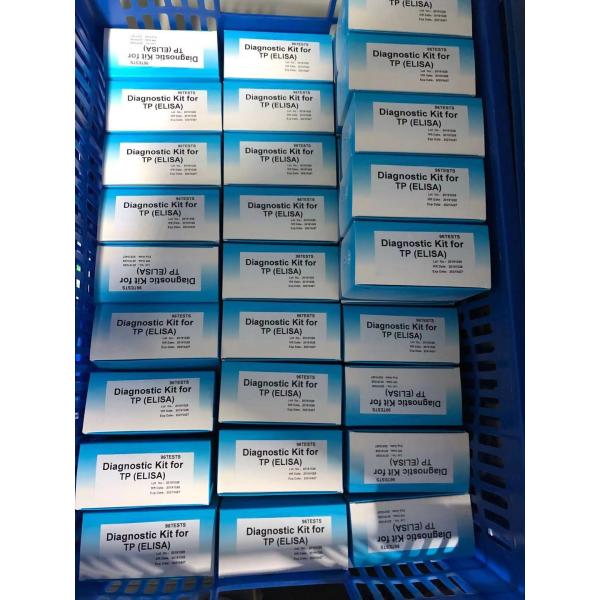 Male And Female Infection High Syphilis TP Ab Antibody ELISA TEST KIT