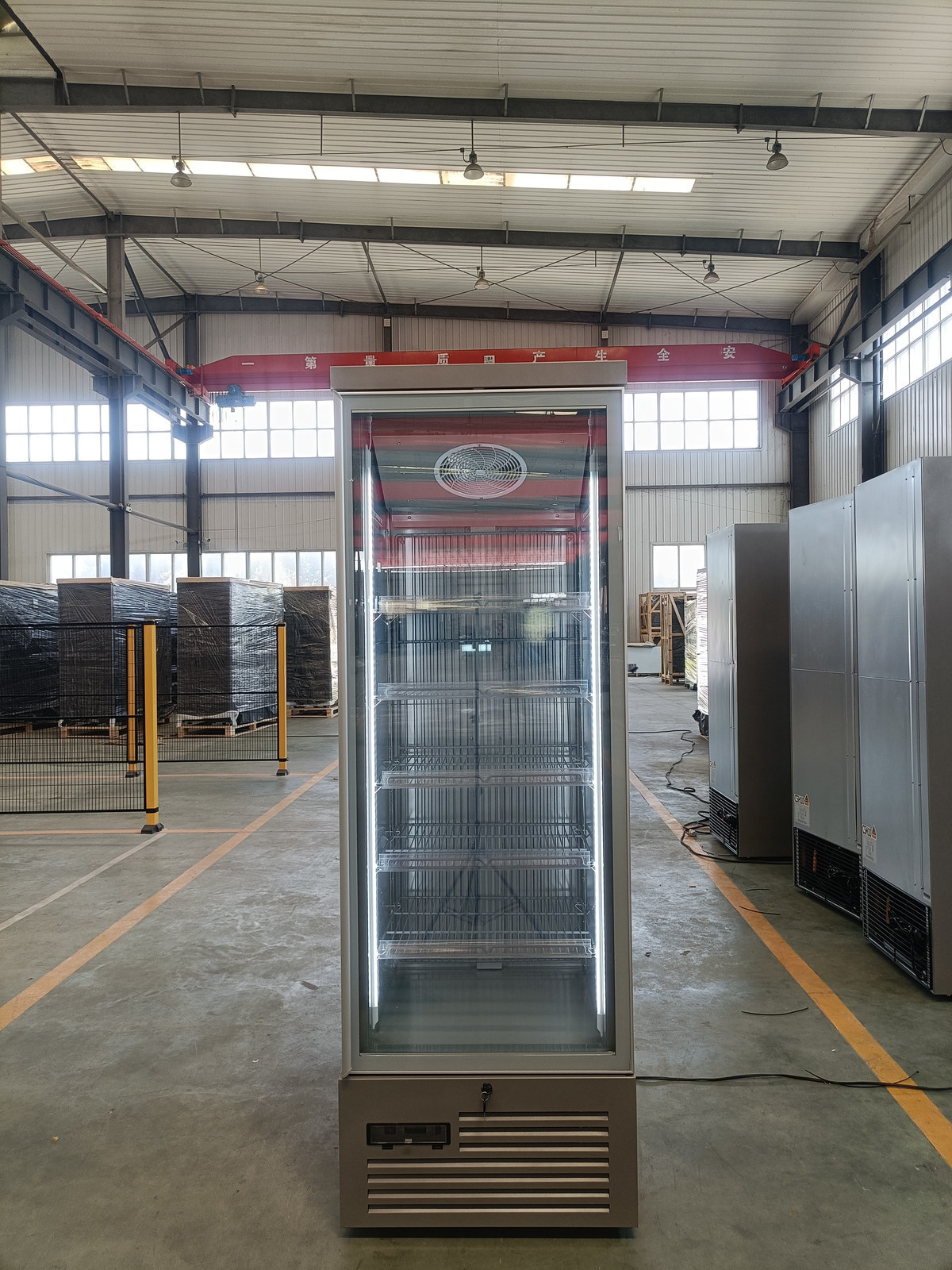 Single Anti-fog Glass Door Upright Freezer Commercial Display Freezer for Retail