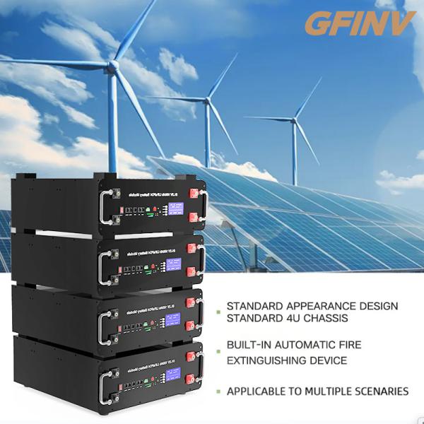 Customization 48v Rack Mount Lithium Battery Deep Cycle 6000 Times 100AH 200AH Battery
