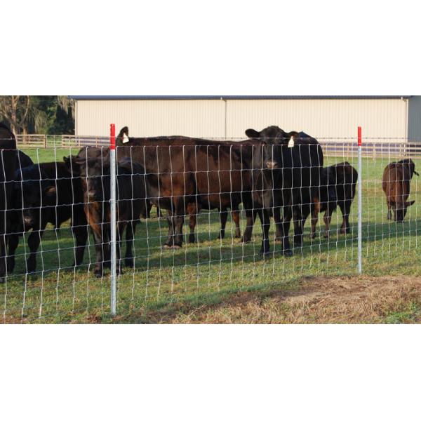 Ограждение с оцинкованным фиксированным узлом Металл Железо Белое Садовое Ограждение Алюминиевое Ограждение Низкоуглеродистая стальная проволока Основные железные ворота