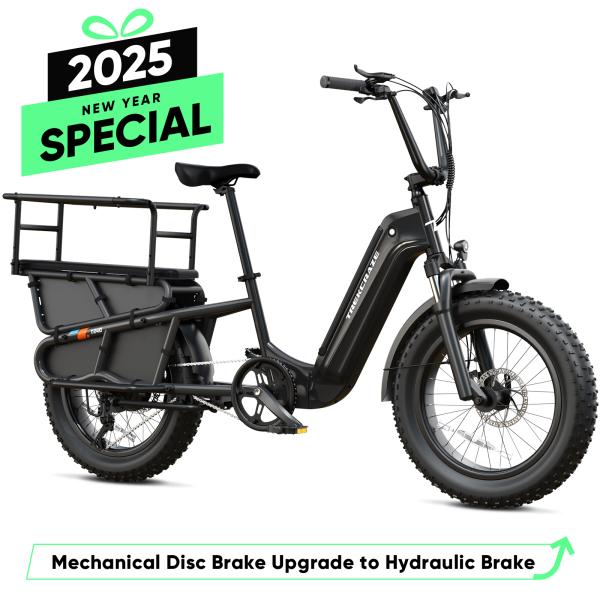 Long Tail Electric Cargo Bike for Family, Kids & Pets, Large Capacity, Foldable, Urban Commute & Grocery, Electric Pedal Assist