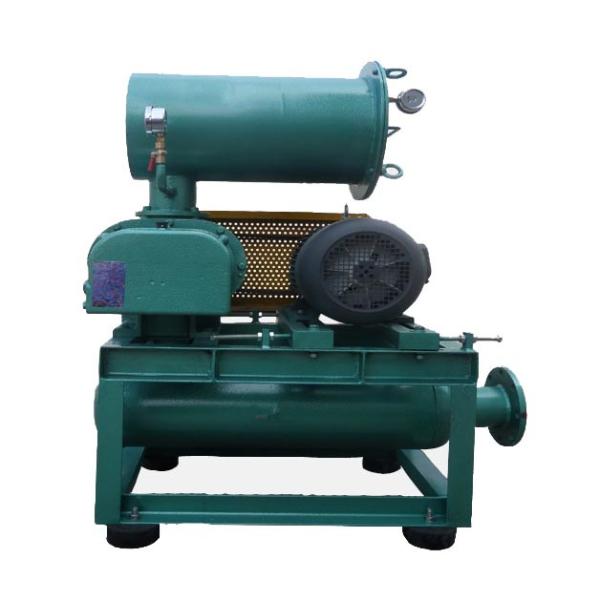 No Oil Pollution 18.5kw Compact Roots Blowers