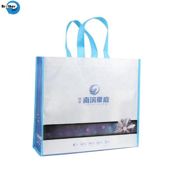 Cheap Price Custom Logo Eco Bag, Printed Recyclable Shopping Bag, Shopping Fold Tote PP Laminated Non Woven Bag