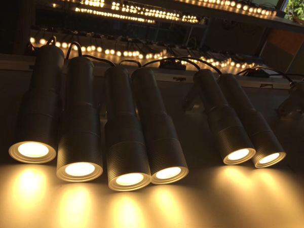 as fachadas exteriores da construção do pátio do balcão do projetor da luz do gramado do diodo emissor de luz de 5W IP67 constroem uma ponte sobre a iluminação