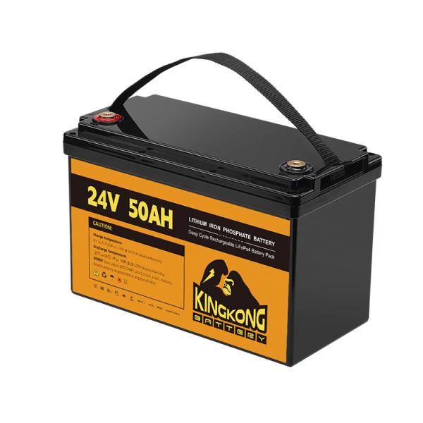 24В 50Ах 60Ах 100Ах 200Ах 230Ах 300Ах 400Ах 460Ах Железная литийная батарея LifePo4 с BMS