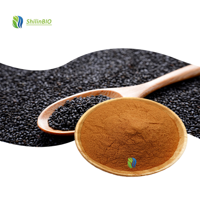 SLBIO Supply Black Sesame Extract Powder 10:1 20:1 30:1 Food Grade