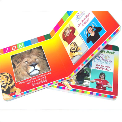 OEM / ODM full color paper board educational Childrens Book Printing for boys and girls