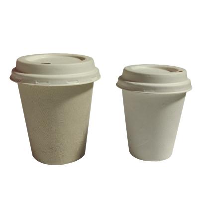 Copos descartáveis do bagaço da cana-de-açúcar, copos bebendo biodegradáveis de 2oz 4oz com tampa