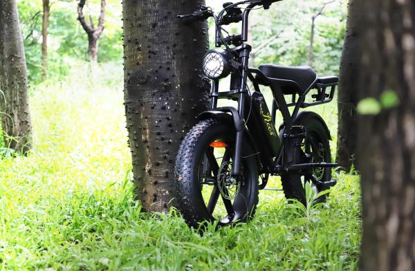 Powerful 1000W Fat Tire Electric Bike with 48V Removable Battery for Hunting and Outdoor Sports