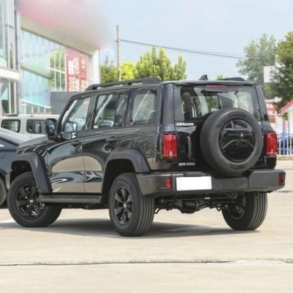 Tank 300 Customized Request 5 Door 5 Seat Compact Size Car by Great Wall Automobile
