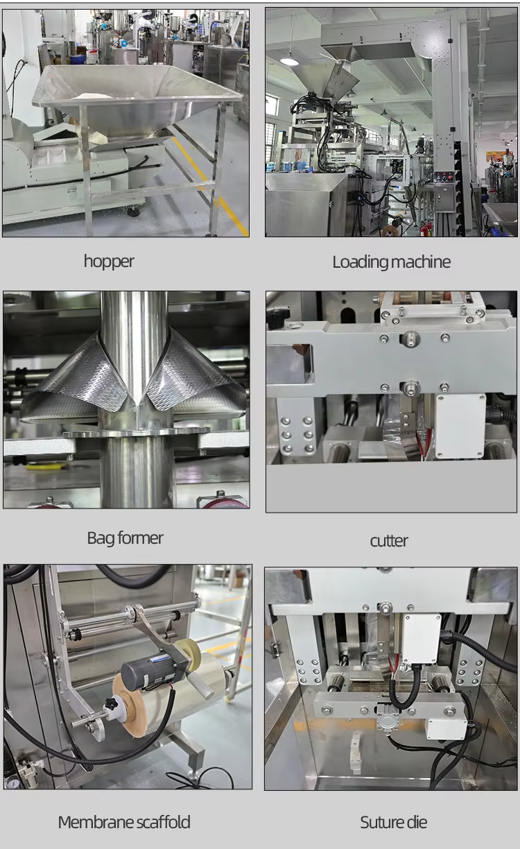 Full Automatic Ten Heads Packaging Machine for Coffee Bean Snack Candy Rice Sugar Salt Chips Food