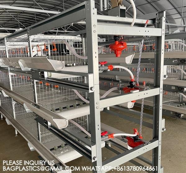 Poultry Farming Equipment Manufacturer 4 Tiers H Type Parent Chicken Battery Breeder Cage