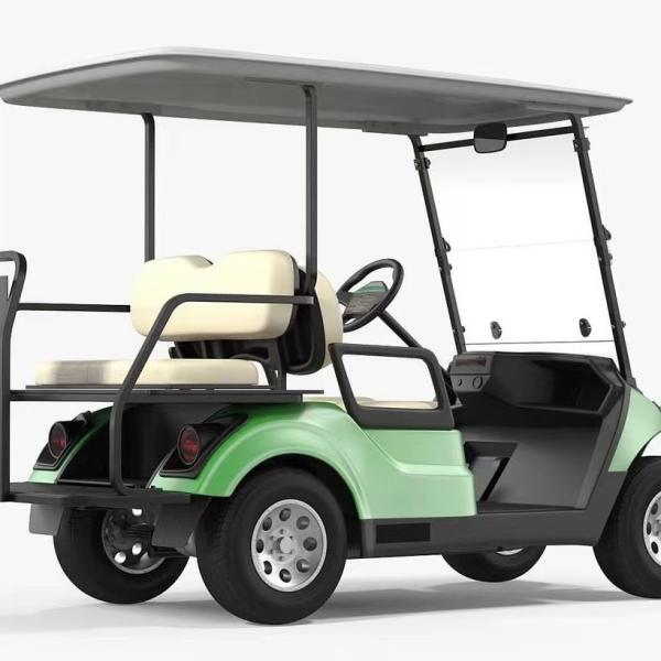 1000kg 100km Passenger Limo Golf Cart Custom