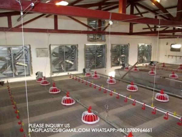 Poultry Equipment Chicken Feeders Drinkers Poultry Automatic Animal Feeders Chicken Feeder