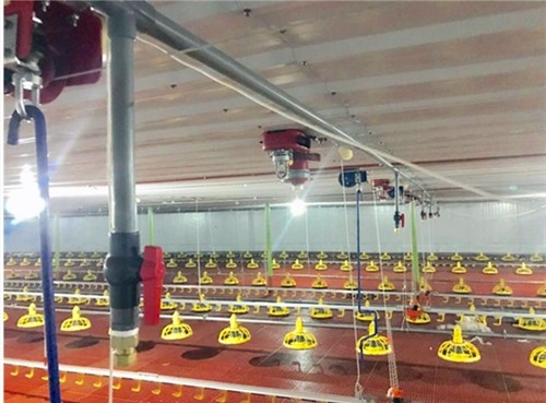150m растут регулятор окружающей среды комнаты