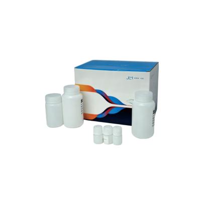 Bone Marrow DNA Extraction Kit
