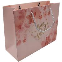 Pantone Matte Printed Paper Bags Embossing compensó 250gram con las manijas torcidas