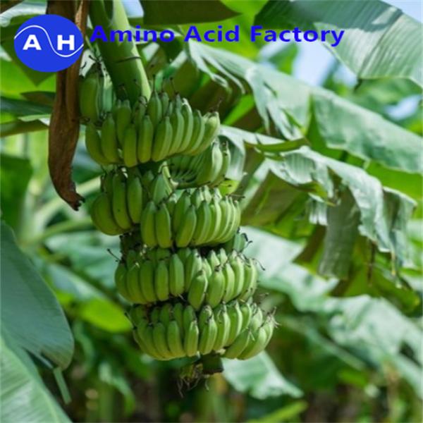 Аминокислотные хелатированные микроэлементы, применяемые в качестве листовых спреев или корректировки почвы для банановых деревьев