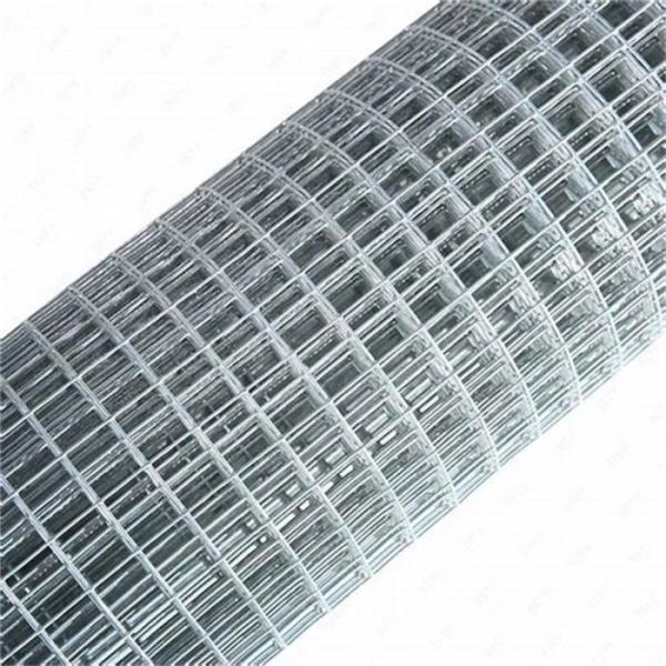 304 Stainless Steel Wire Mesh for Farm Fencing Welded Technique with Bending & Cutting Services