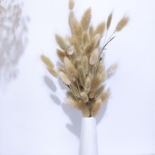 Ins website red flower bouquet eternal life flower home living room decoration ornament rabbit tail grass dog tail grass dried flower