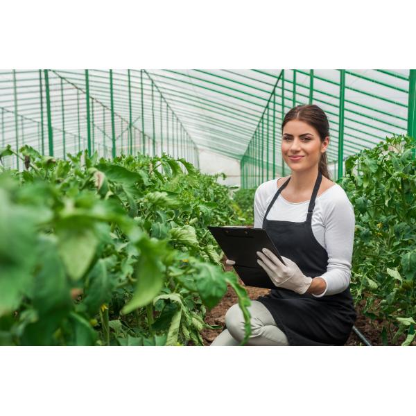 Solubilité dans l'eau N-acétyl-D-glucosamine poudre brune pour stimuler la croissance des plantes