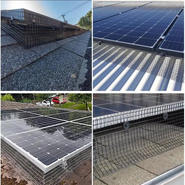 Green Color Pvc Coated Welded Wire Mesh Panels Galvanized Low Carbon Steel Q195 Grids