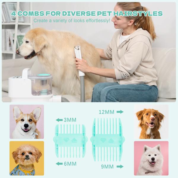 Professional Pet Grooming Made Sustainable with 300W Vacuum Kit and 6 Grooming Tools