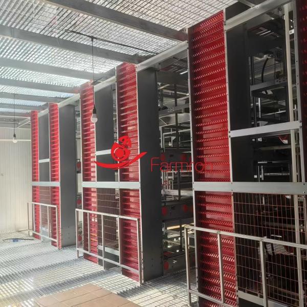 80000 Layer Chicken Cage System Good load-bearing capacity