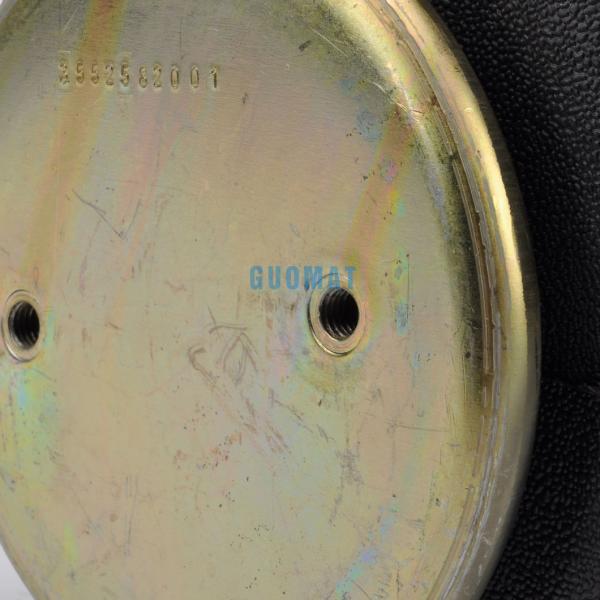 Лепесток 2B9-269 W01-M58-7679 AIRSUSTECH завальцовки весны воздуха S09280 Dunlop