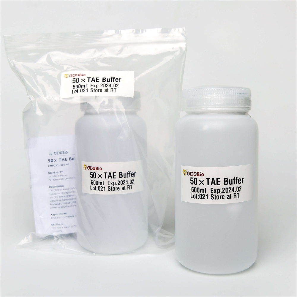 Буфер электрофореза ДНК 10× Tae в геле M9022 500ml