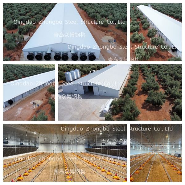 Prefabricated Middle Size Light Steel Structure Poultry House Warehouse