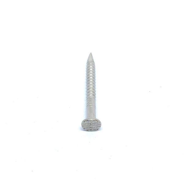 Clous annulaires plats d'acier inoxydable de tête avec Ring Shank For Decks And extérieur